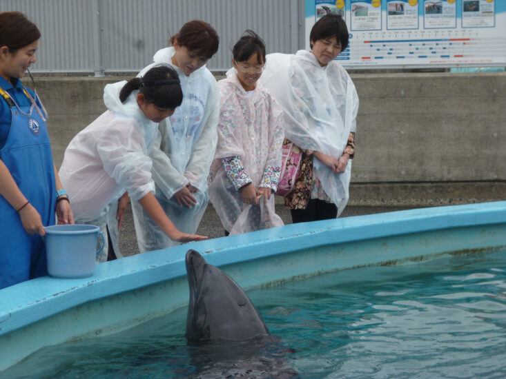 室戸ドルフィンセンター