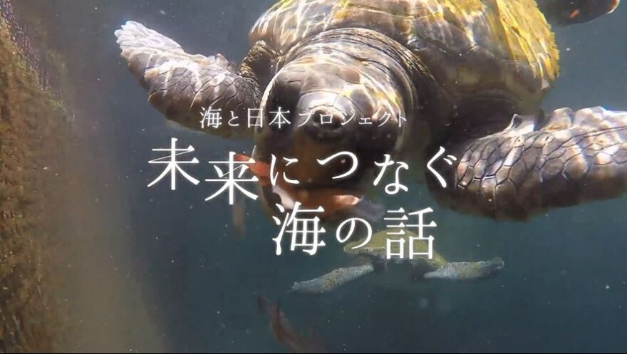 ウミガメを守るために～未来につなぐ海の話～