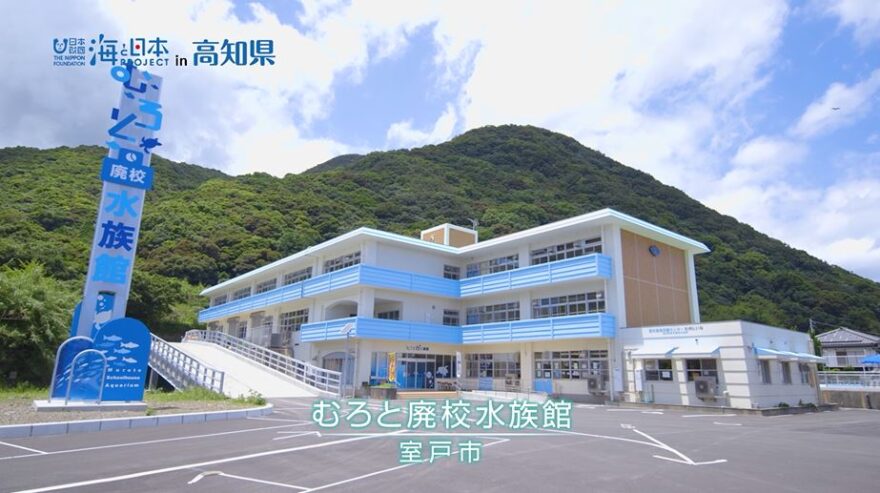 【イベント情報】むろと廃校”イルミネーション”水族館