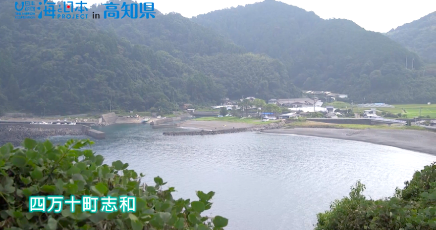 【おらんくの海】四万十ダイブ　長浦永司さん