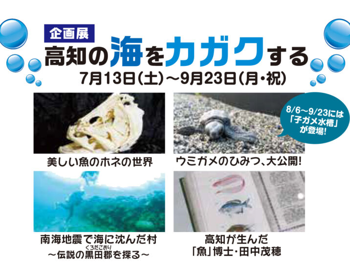 【開催中】「高知の海をカガクする」