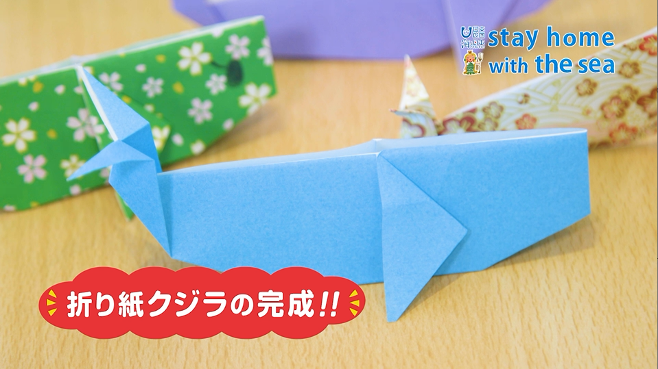 海モノづくり 海の折り紙 クジラ篇 おさかな篇 海と日本project In 高知