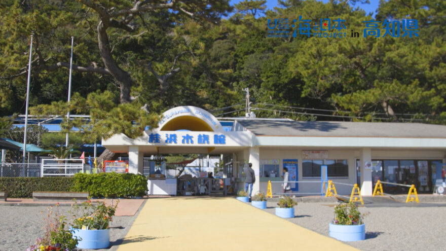 コロナ禍でも桂浜水族館に地元の人が訪れる理由とは！？