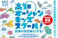 夏休みの自由研究にもピッタリ！　「高知オーシャンキッズスクール！」高知の海を知る！守る！