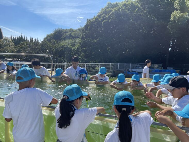 高知オーシャンキッズスクール！中部エリア篇　配信中！